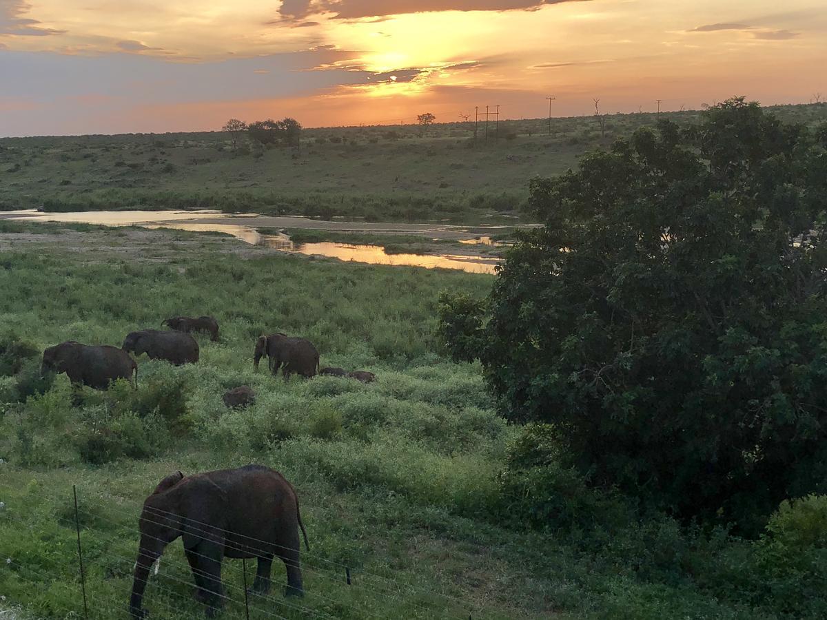Elephant Walk Retreat Komatipoort Dış mekan fotoğraf