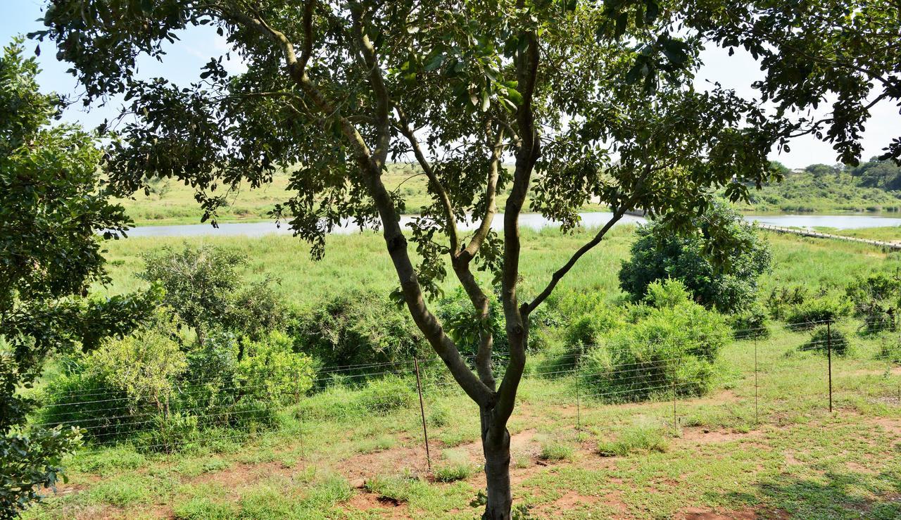 Elephant Walk Retreat Komatipoort Dış mekan fotoğraf